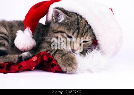 Weihnachtskätzchen im Weihnachtsmann Hut schlafen. Nahaufnahme Bild auf weiß. Stockfoto