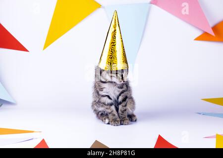 Kleines niedliches Kätzchen mit Partyhut und Party-Fahnen auf weißem Hintergrund. Bild von Geburtstag und Feiertag. Stockfoto