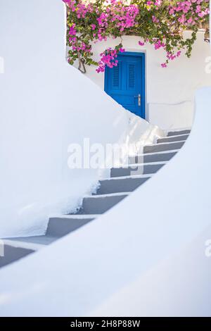 Eingang einer typischen weißen kykladischen Architektur, Haus mit blauer Tür und blühender rosa Bougainvillea-Pflanze auf Santorini, Griechenland. Inspirieren Stockfoto