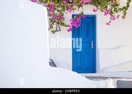Eingang einer typischen weißen kykladischen Architektur, Haus mit blauer Tür und blühender rosa Bougainvillea-Pflanze auf Santorini, Griechenland. Inspirieren Stockfoto