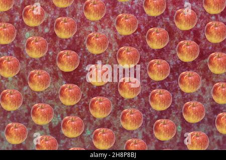 Muster aus ganzen reifen Jonagold-Äpfeln auf Nahaufnahme auf jonagold-Apfelschale im Hintergrund Stockfoto