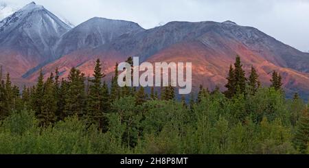 Ein sonnenbeschienenen Berg an der Haines Junction im Yukon, Kanada. Der Gipfel im Kluane National Park and Reserve überragt den Wald. Stockfoto