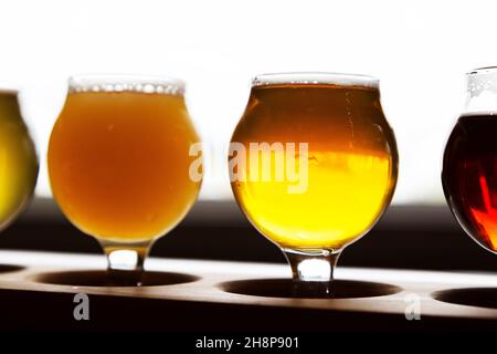 Verkostung von Craft-Bieren im Yukon, Kanada. Die Gläser enthalten eine Auswahl an Biersorten. Stockfoto