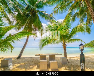 Leere Holzplanken mit Strand im Hintergrund, Palmenblätter im Vordergrund Stockfoto