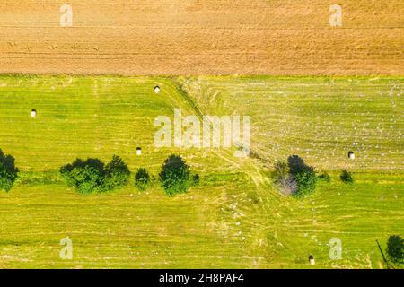Luftaufnahme von fliegenden Drohne einer schönen Naturlandschaft mit wachsenden gesund. Schöne Landschaft mit Bauernhof. Stockfoto