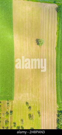 Top Luftpanorama von grünen Feldern und Wiesen im Sommer. Abstrakte Landschaft mit Feldern, Gras, Bäumen, sonnigem Himmel und üppigem Laub. La Stockfoto