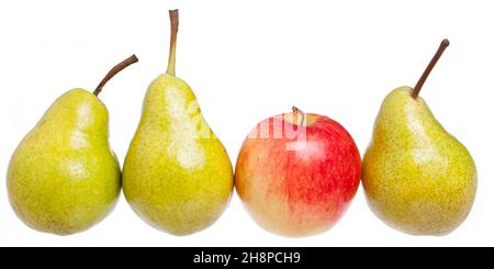 Apfel im Vergleich zu Birnen Apfel, Birne, Birnen, verglichen, Äpfel, Mit, Vergleich, Unterschiede Stockfoto