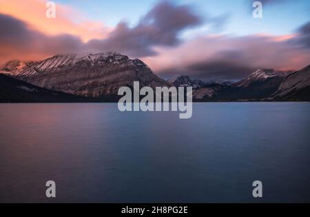 Wellen schlagen bei Sonnenaufgang, Upper Kananaskis, Lake, Alberta, Kanada, auf Driftwood Stockfoto