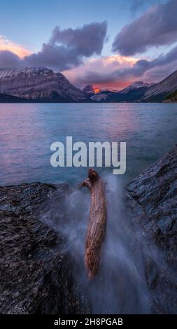 Wellen schlagen bei Sonnenaufgang, Upper Kananaskis, Lake, Alberta, Kanada, auf Driftwood Stockfoto