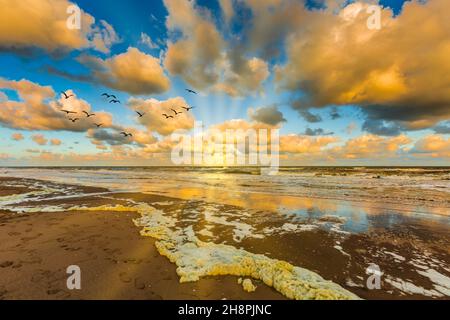 Schöner Sonnenuntergang am Strand mit ruhigem Meer und Brandung von IJmuiderslag in den Niederlanden mit warmen farbigen Wolken und Silhouette von Vögeln, die über einem Meer fliegen Stockfoto