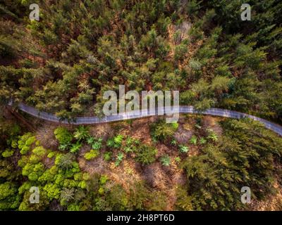 Schöne Luftaufnahme der Straße zwischen Wald in Candamo, Asturien. Spanien. Stockfoto