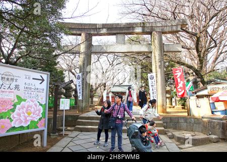 Ein Torii am Haupteingang zum Ueno Toshogu-Schrein im Ueno-Park, Tokio. Es ist ein alter Shinto-Schrein, der im 17th. Jahrhundert erbaut wurde. Stockfoto