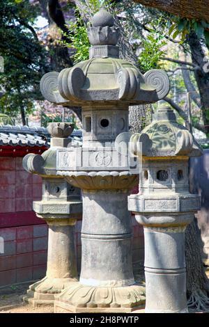 Steinlaternen am Eingang zum Ueno Toshogu-Schrein im Ueno Park, Tokio. Es ist ein alter Shinto-Schrein mit vielen Teilen, die mit Goldfolie bedeckt sind. Stockfoto