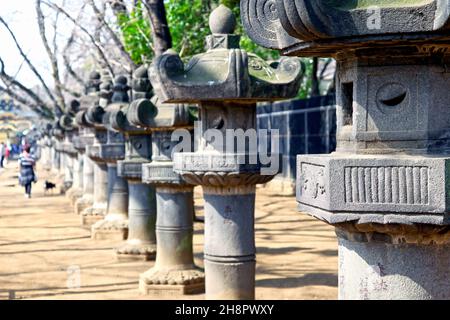 Steinlaternen am Eingang zum Ueno Toshogu-Schrein im Ueno Park, Tokio. Es ist ein alter Shinto-Schrein mit vielen Teilen, die mit Goldfolie bedeckt sind. Stockfoto