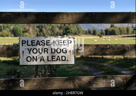 „Bitte halten Sie Ihren Hund an der Leine“-Schild auf dem Holztor mit unfokussierten Spuren und Schafen im Feld, die durch das Tor im Hintergrund betrachtet werden Stockfoto