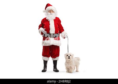 In voller Länge Porträt des weihnachtsmannes mit einem weißen Pudel Hund auf einer Blei isoliert auf weißem Hintergrund Stockfoto