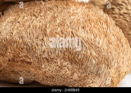 Getrocknete Löwenmähnchen oder Hericium Erinaceus werden auch Bartzahnpilz, Affenkopfpilz, Yamabushitake genannt. Stockfoto