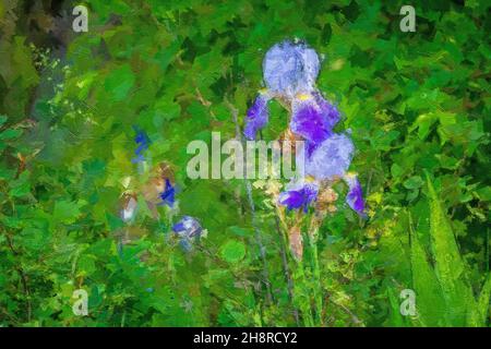 Wilde Blume im Naturschutzgebiet, mehrfarbige Texturmalerei Stockfoto