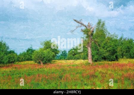 Alter Baum auf der Wiese, mehrfarbige Texturmalerei Stockfoto