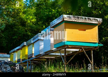 In den Hügeln rund um den Skadar Lake produziert und verkauft eine lokale Familie Honig an Passanten. Stockfoto