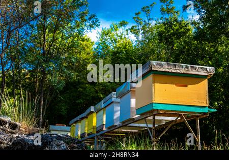 In den Hügeln rund um den Skadar Lake produziert und verkauft eine lokale Familie Honig an Passanten. Stockfoto
