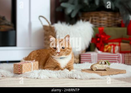 Nette rote Katze in der Nähe des Kamins zu Hause am Heiligabend Stockfoto