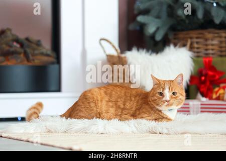 Nette rote Katze in der Nähe des Kamins zu Hause am Heiligabend Stockfoto