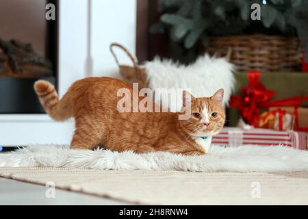 Nette rote Katze in der Nähe des Kamins zu Hause am Heiligabend Stockfoto