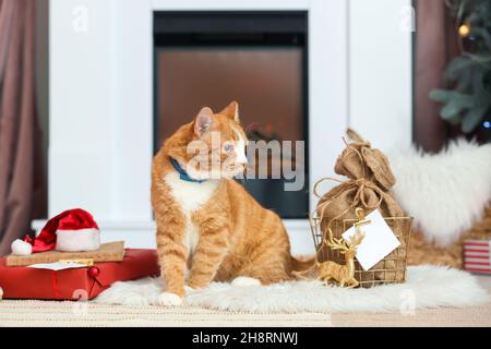 Nette rote Katze in der Nähe des Kamins zu Hause am Heiligabend Stockfoto