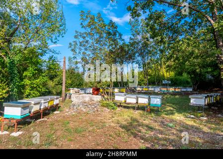 In den Hügeln rund um den Skadar Lake produziert und verkauft eine lokale Familie Honig an Passanten. Stockfoto