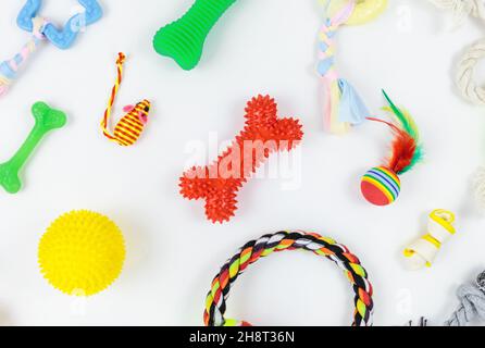 Set aus farbenfrohem Spielzeug, Knochen, Seilen aus Baumwolle, Kunststoff, Gummi für Hunde und Katzen. Tierpflege und Accessoires auf weißem Hintergrund Stockfoto