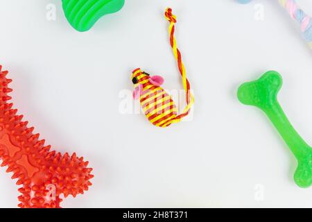 Set aus farbenfrohem Spielzeug, Knochen, Seilen aus Baumwolle, Kunststoff, Gummi für Hunde und Katzen. Tierpflege und Accessoires auf weißem Hintergrund Stockfoto