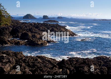 Blick auf die felsige Küste von der wilden pacific Trail Amphitrite Point Leuchtturm Schleife in Ucluelet, Westküste Vancouver Island, BC, Kanada im Oktober Stockfoto