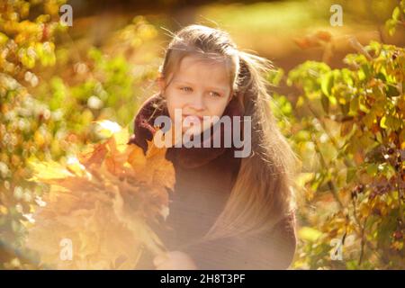 Porträt eines schönen Mädchens in einem braunen Pelzmantel, in den Händen eines Mädchens Herbst-Ahornblätter, vor dem Hintergrund der Herbstfolierung. Stockfoto