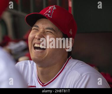 Anaheim, Usa. 02nd Dez 2021. Los Angeles Angels ernannte Shhei Ohtani (17) im Dugout vor dem Spiel gegen die Seattle Mariners im Angel Stadium in Anaheim am Samstag, 17. Juli 2021. Foto von Michael Goulding/UPI Credit: UPI/Alamy Live News Stockfoto