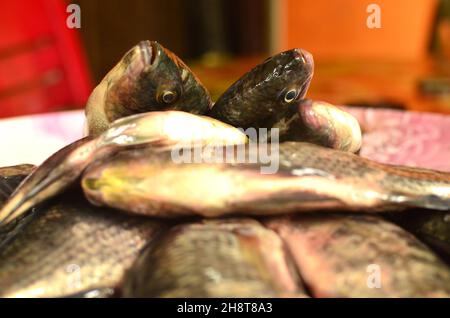 Frische Tilapia-Fische sind wunderschön angerichtet Stockfoto