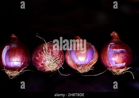 Es gibt eine Vielzahl von Gemüse, Kartoffeln, Spitzkürbis, Karela, Zwiebeln, Knoblauch, Ingwer, Blumenkohl, Kohl Stockfoto