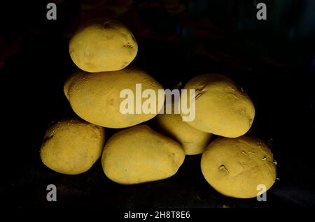 Es gibt eine Vielzahl von Gemüse, Kartoffeln, Spitzkürbis, Karela, Zwiebeln, Knoblauch, Ingwer, Blumenkohl, Kohl Stockfoto