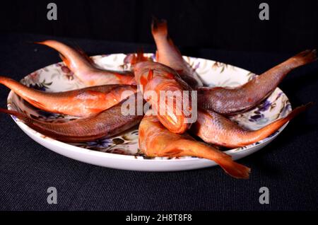 Frischer bhola bhetki Fisch ist auf dem Teller angeordnet Stockfoto
