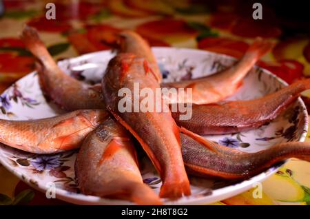 Frischer bhola bhetki Fisch ist auf dem Teller angeordnet Stockfoto