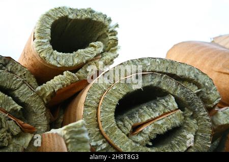 Einrichtung von Fernwärme in Kajeroed in Birkeroed nördlich von Kopenhagen im Jahr 2009 Stockfoto