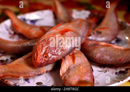 Frischer bhola bhetki Fisch ist auf dem Teller angeordnet Stockfoto