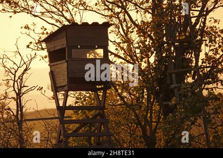 Hoher Sitzplatz, Hunter S Sitzplatz neben Laubbäumen im Herbst, am frühen Abend nach Sonnenuntergang, Rheinland-Pfalz Stockfoto