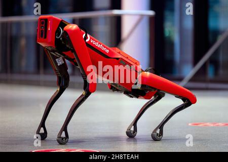 Düsseldorf, Deutschland. 30th. November 2021. Der Roboterhund „Spot“ des Herstellers Boston Dynamics befindet sich am Hauptsitz von Vodafone. Die Techniker von Vodafone haben ihn auf den Standard 5G umgestellt und damit seine Reichweite erhöht. Quelle: Rolf Vennenbernd/dpa/Alamy Live News Stockfoto