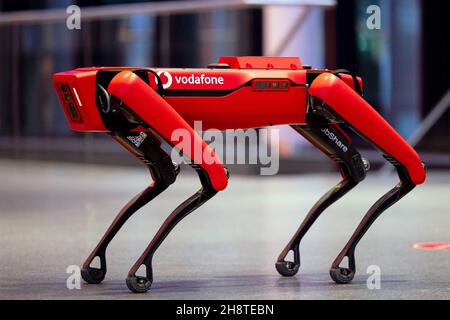 Düsseldorf, Deutschland. 30th. November 2021. Der Roboterhund „Spot“ des Herstellers Boston Dynamics befindet sich am Hauptsitz von Vodafone. Die Techniker von Vodafone haben ihn auf den Standard 5G umgestellt und damit seine Reichweite erhöht. Quelle: Rolf Vennenbernd/dpa/Alamy Live News Stockfoto