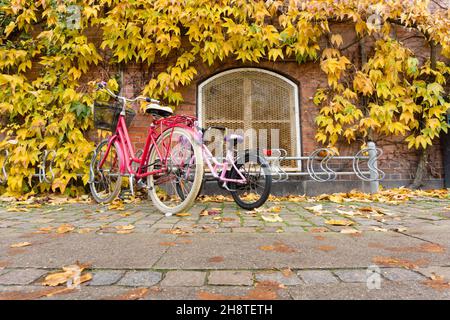 Kopenhagen, Dänemark - 31. Oktober 2021: Fassade des Gebäudes, bedeckt mit Blättern in typischen Herbstfarben, mit Fahrrädern, die vor der WA geparkt sind Stockfoto