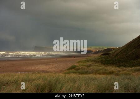 Seegras oder Marrammrasen Ammophila arenaria, das typischerweise an Sandstränden mit starken Schneewolken in Richtung Saltburn wächst Stockfoto