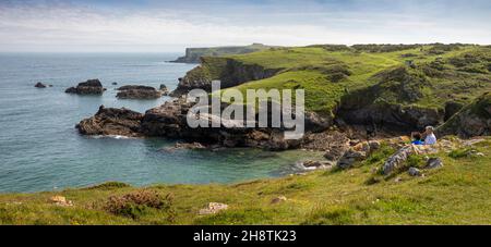 Großbritannien, Wales, Pembrokeshire, Bosherston, Broad Haven, Long Matthew Point von Trevallen Downs, Panorama Stockfoto