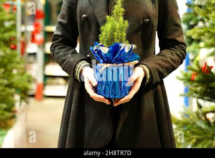 Mädchen mit Weihnachtsbaum in den Händen. Frau im Geschäft wählt frischen natürlichen Baum im Topf Stockfoto