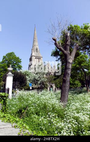 Die Pfarrei St. Markus-Kirche, Regents Park, London Stockfoto